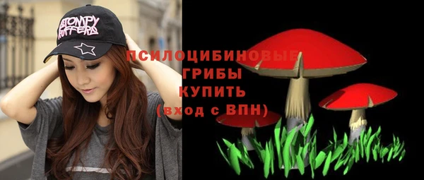 apvp Пересвет