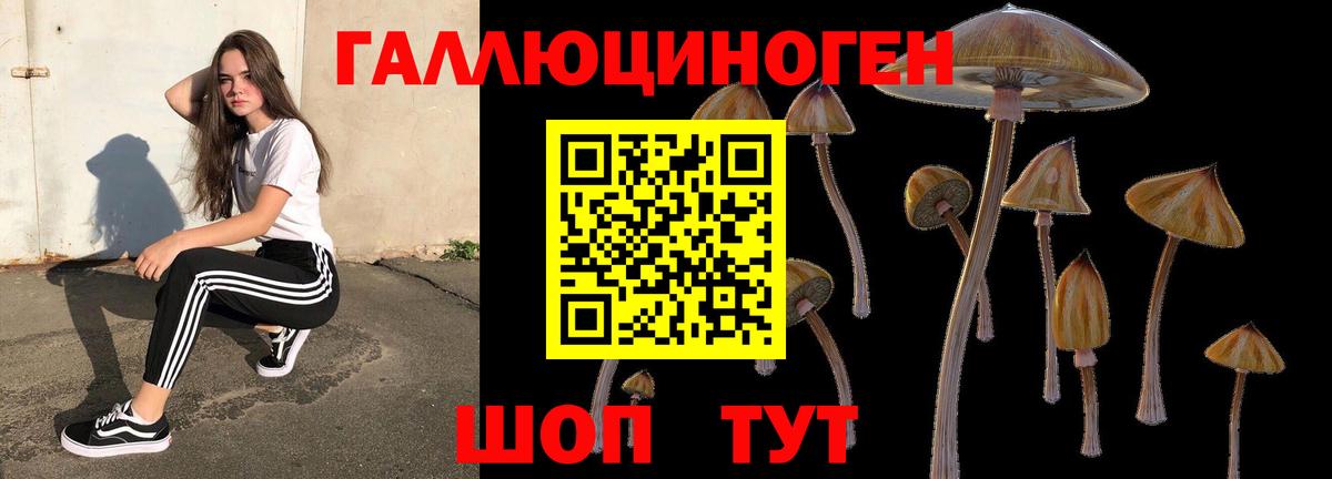 Галлюциногенные грибы MAGIC MUSHROOMS  купить   Псилоцибиновые грибы мухоморы  Губкинский 