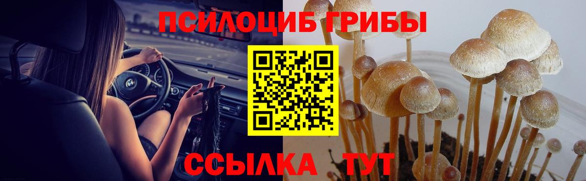 Псилоцибиновые грибы мухоморы  Вход с VPN  Губкинский 