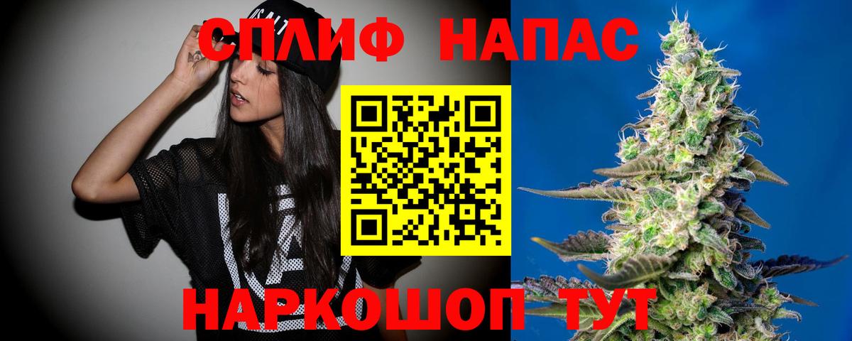 Каннабис гибрид Губкинский